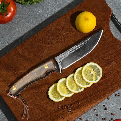 Couteau de cuisine tranchant citron avec précision - lame ultra-affûtée pour découpes nettes
